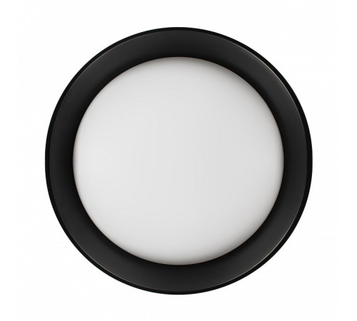 Накладной светильник Loft it Coin 10202 BB