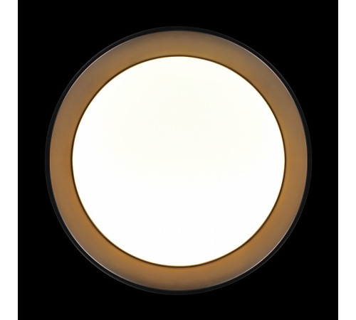 Накладной светильник Loft it Coin 10202 BB