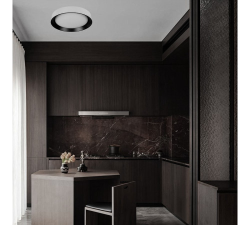 Накладной светильник Loft it Coin 10202 WB