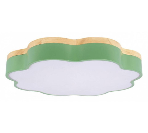 Накладной светильник Loft it Axel 10225/36 Green