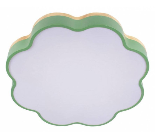 Накладной светильник Loft it Axel 10225/36 Green