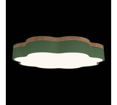 Накладной светильник Loft it Axel 10225/36 Green