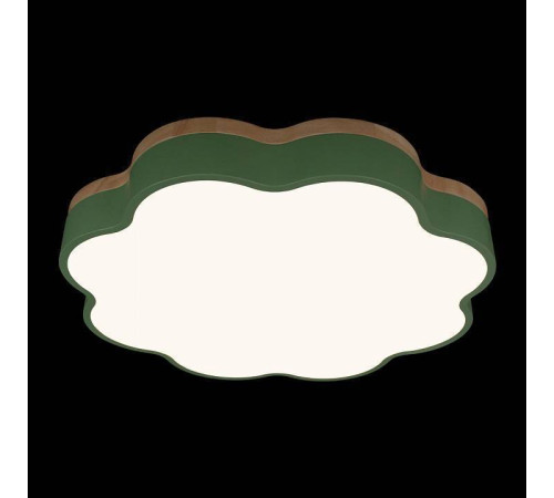 Накладной светильник Loft it Axel 10225/36 Green