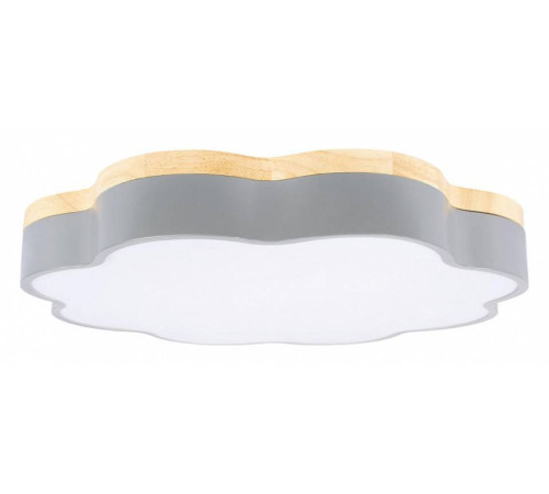 Накладной светильник Loft it Axel 10225/36 Grey