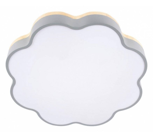 Накладной светильник Loft it Axel 10225/36 Grey