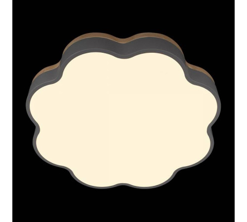 Накладной светильник Loft it Axel 10225/36 Grey