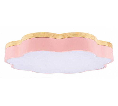 Накладной светильник Loft it Axel 10225/36 Pink