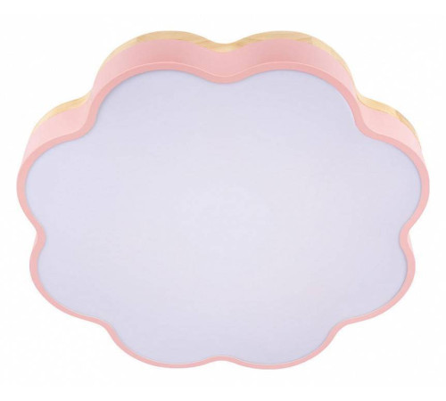 Накладной светильник Loft it Axel 10225/36 Pink