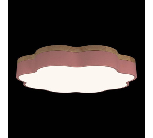 Накладной светильник Loft it Axel 10225/36 Pink
