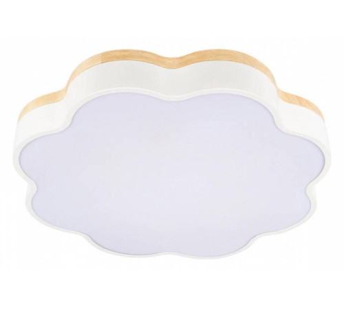 Накладной светильник Loft it Axel 10225/36 White