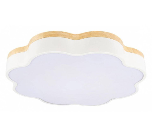 Накладной светильник Loft it Axel 10225/36 White