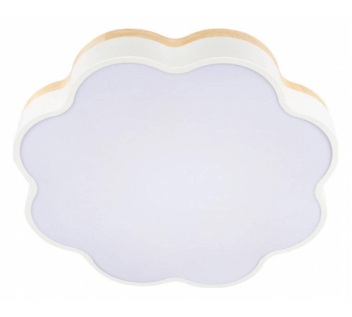 Накладной светильник Loft it Axel 10225/36 White