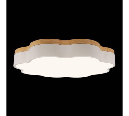 Накладной светильник Loft it Axel 10225/36 White