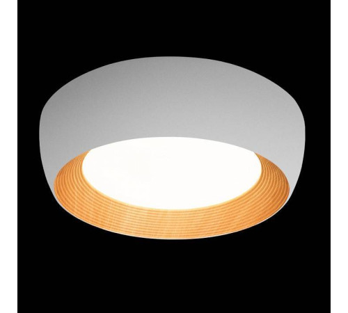 Накладной светильник Loft it Folk 10255/500 White