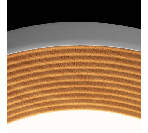 Накладной светильник Loft it Folk 10255/500 White