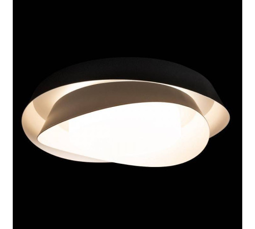 Накладной светильник Loft it Petale 10256 Black
