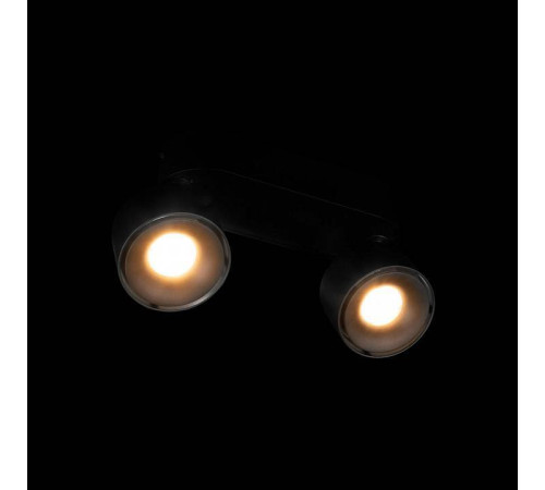 Спот Loft it Focus 10323/2A Black