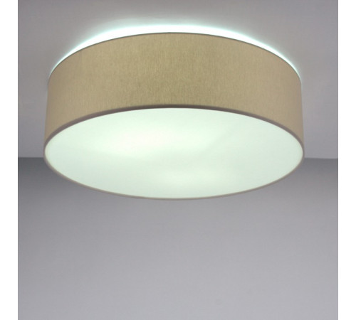 Накладной светильник Lighthall Camerona 65 LH022006