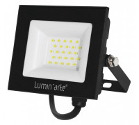 Настенно-потолочный прожектор Luminarte LFL-30W LFL-30W/06