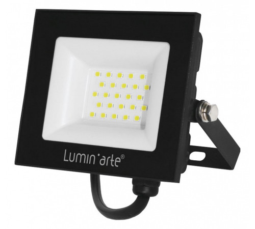 Настенно-потолочный прожектор Luminarte LFL-30W LFL-30W/06