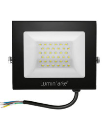 Настенно-потолочный прожектор Luminarte LFL-50W LFL-50W/06
