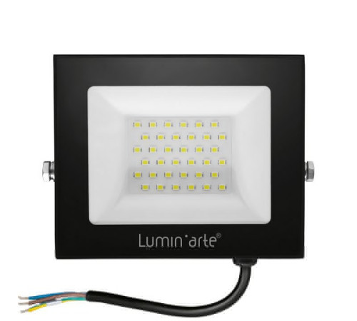 Настенно-потолочный прожектор Luminarte LFL-50W LFL-50W/06