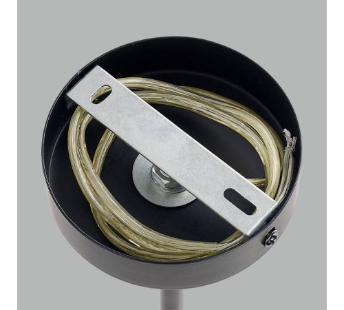 Люстра на штанге Lumion Melody 6581/6