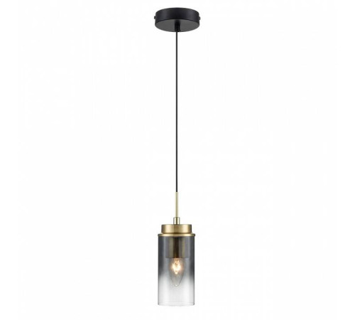 Подвесной светильник Lumion Isha 8101/1A