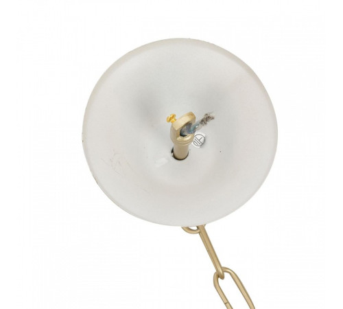 Подвесная люстра Lumion SUANA 8318/12