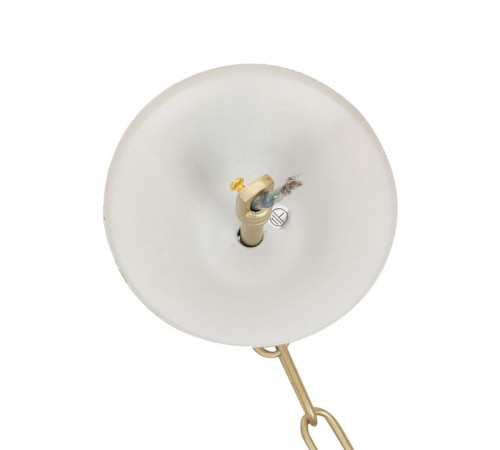 Подвесная люстра Lumion SUANA 8318/8