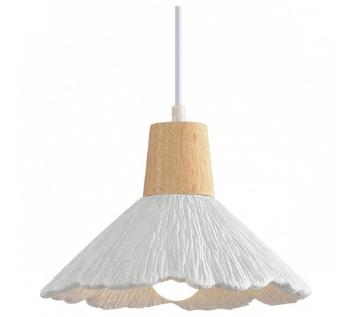 Подвесной светильник Lumion EOLIANA 8352/1A