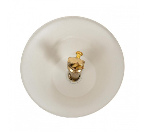 Подвесная люстра Lumion CLASSI 8374/6