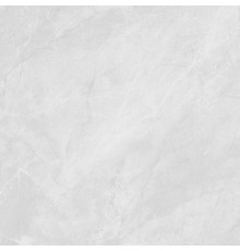 Керамогранит Laparet Berna Silver светло-серый матовый 59,5х59,5 см LP6060G0241R