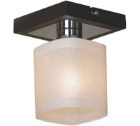 Светильник на штанге Lussole Costanzo LSL-9007-01