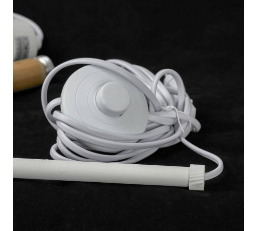 Торшер Lussole Weston LSP-0656