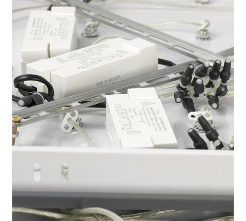 Подвесная люстра Lussole Littlerock LSP-7098