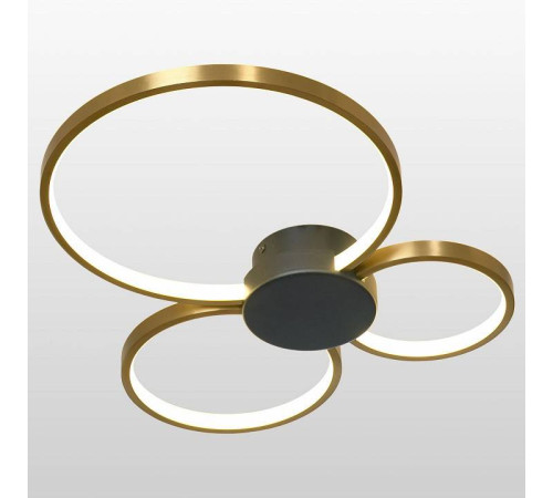 Потолочная люстра Lussole Lowell LSP-7112