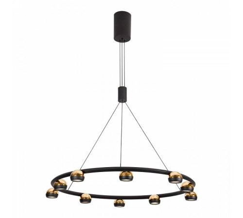 Подвесная люстра Lussole Lassen LSP-7253