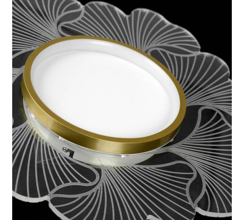 Накладной светильник Lussole Benton LSP-7340