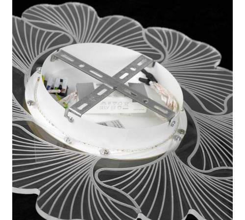 Накладной светильник Lussole Benton LSP-7340