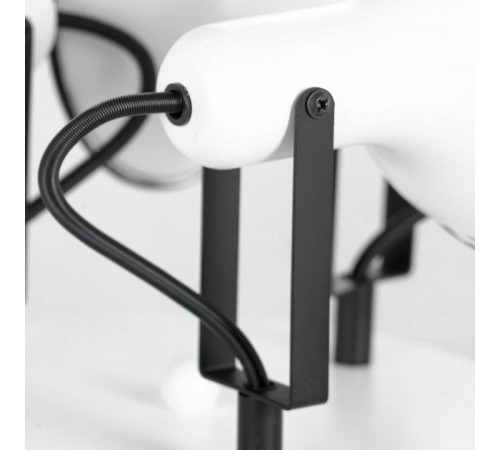 Потолочная люстра Lussole Fargo LSP-8803