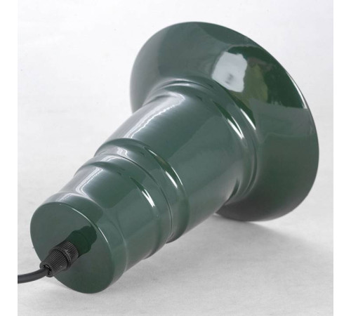 Подвесной светильник Lussole LSP-8974