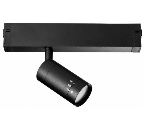 Светильник на штанге Lightstar Teta 205017R