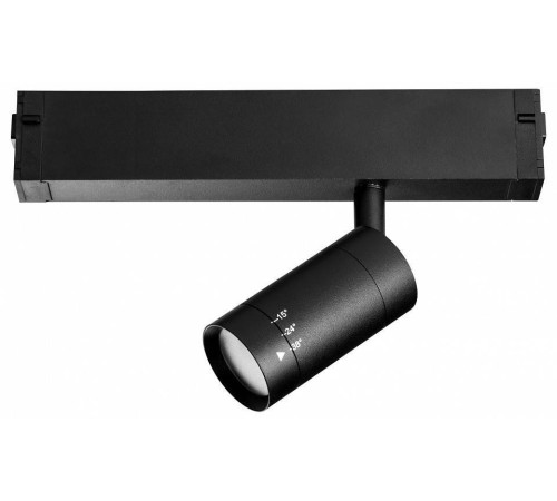 Светильник на штанге Lightstar Teta 205017R