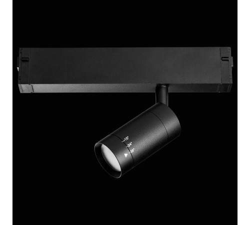 Светильник на штанге Lightstar Teta 205017R