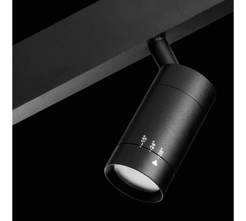 Светильник на штанге Lightstar Teta 205017R