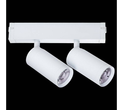 Светильник на штанге Lightstar Teta 205506