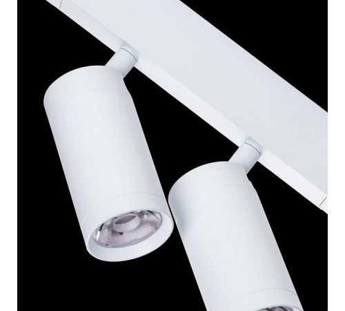 Светильник на штанге Lightstar Teta 205506