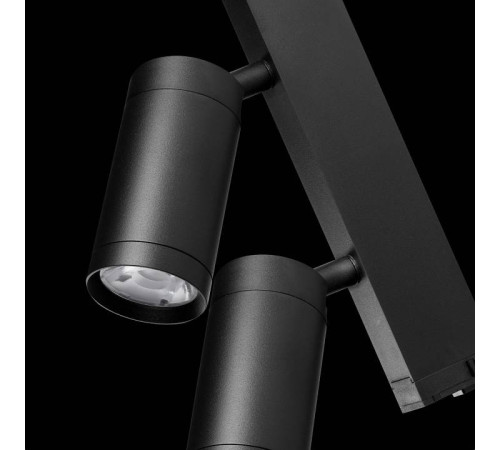 Светильник на штанге Lightstar Teta 205507