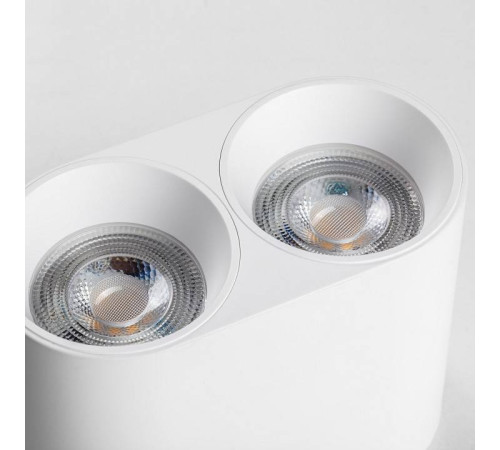 Накладной светильник Lightstar Rullo 213466